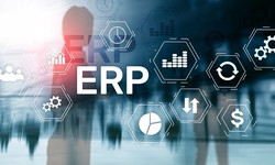 Effective Methods for Implementing ERP in Your Organization