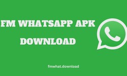 How to Customize Chat Headers in FMWhatsApp
