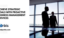 Strategic Impact of Proactive Business Management Services