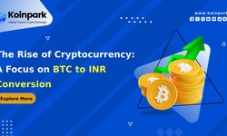 The Rise of Cryptocurrency: A Focus on BTC to INR Conversion