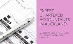 Using Auckland's Advisors to Guide You to Success with Ingenious Tax Techniques