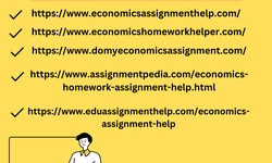 A Spotlight on the Finest Economics Assignment Help Platforms