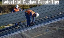 The Lifecycle of Industrial Roofs: Understanding Durability and Longevity