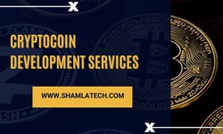 Unlocking the Potential of Cryptocoin Development Services for Startups and Enterprises