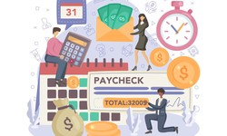 How Much Does Payroll Software Cost in 2024