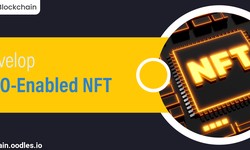 A Quick Guide to Developing a DAO-enabled NFT Marketplace