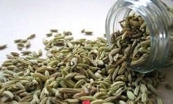 The Benefits of Adding Fennel Supplement to Your Diet: A Natural Solution for Digestive Health