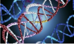 Decoding DNA: A Comprehensive Guide to Genetics Assignments