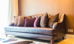 Sofa Style Spotlight: Unveiling the Show Home Elegance