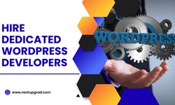 Hire WordPress Developer for Your Business Success
