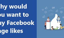 Why would you want to buy Facebook page likes?