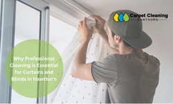 Why Professional Cleaning is Essential for Curtains and Blinds in Hawthorn