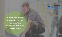 Common Carpet Problems on the Mornington Peninsula and How to Fix Them