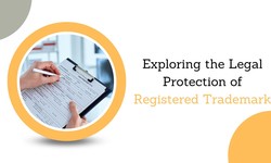 Exploring the Legal Protection of Registered Trademark