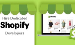 Need Expert Support for Your Shopify Store? Explore the Benefits of Dedicated Developers!