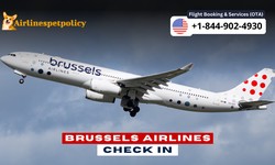 Brussels Airlines Check-In - A Comprehensive Guide