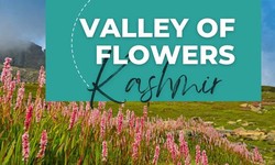 Valley of Flowers Kashmir - Trek Route | Himalayan Daredevils
