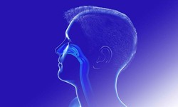 Unlocking the Science of Nasal Breathing Benefits