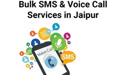 Premier Bulk SMS & Voice Call Services in Jaipur