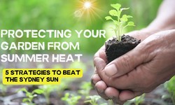 Protecting Your Garden from Summer Heat: 5 Strategies to Beat the Sydney Sun