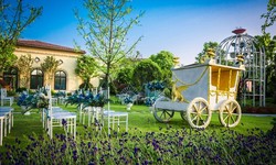 Love as Big as Texas: Discovering the Best Wedding Venues Across the State