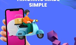 Navigating Ali Express Order Trace in Pakistan: Effortless Parcel Tracking Made Simple