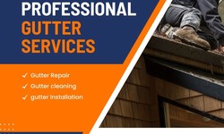 Littleton's Changing Seasons: The Ultimate Gutter Cleaning Timeline