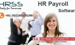 HR and Payroll Software in Delhi: Orchestrating Workplace Efficiency