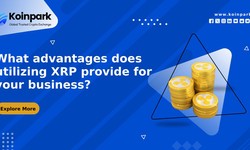 What advantages does utilizing XRP provide for your business?