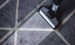 Discovering the Enchantment of Expert Carpet Cleaning: A Success Story