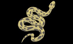 Snake Clipart Dynamic Design