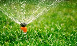 What are the Key Advantages of Opting for Sprinkler Blowouts in Lawn Maintenance?