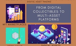 The Evolution of NFT Marketplaces: Trends and Innovations in Digital Asset Trading