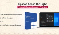 Tips to Choose the Right Microsoft Server Support Provider