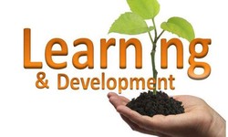 Certified Learning and Development Professional