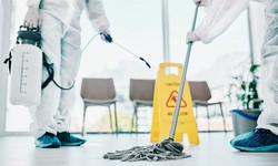 Elevating Your Living Experience With The Best Cleaning Services