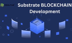 Substrate Protocol Development: The Backbone of Custom Blockchain Solutions