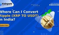 Where Can I Convert Ripple (XRP TO USDT)  in India?