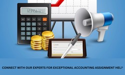 Mastering Financial Success: Top 5 Financial Accounting Assignment Help Services