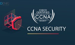 Unlocking Success Down Under Elevate Your Career with CCNA Certification