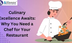 Culinary Excellence Awaits: Why You Need a Chef for Your Restaurant