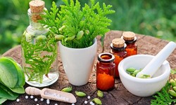 Herbs for Daily Detox: Cleansing and Rejuvenating Your Body Naturally
