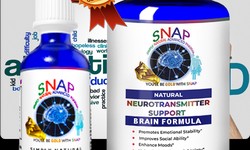 Supplements for Brain Health and Their Importance