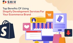 Top Benefits Of Using Shopify Development Services For Your Ecommerce Brand