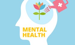A Beginner's Guide to Mental Health