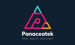 Transforming Industries through Innovative Software Solutions: A Comprehensive Look at PanaceaTek