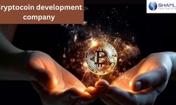 The Future of Cryptocurrency: Behind the Scenes of a Development Company