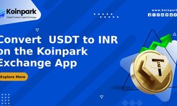Convert  USDT to INR on the Koinpark Cryptocurrency Exchange App