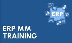ERP SAP MM Training in Gurgaon