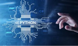 How is Python used in real life?